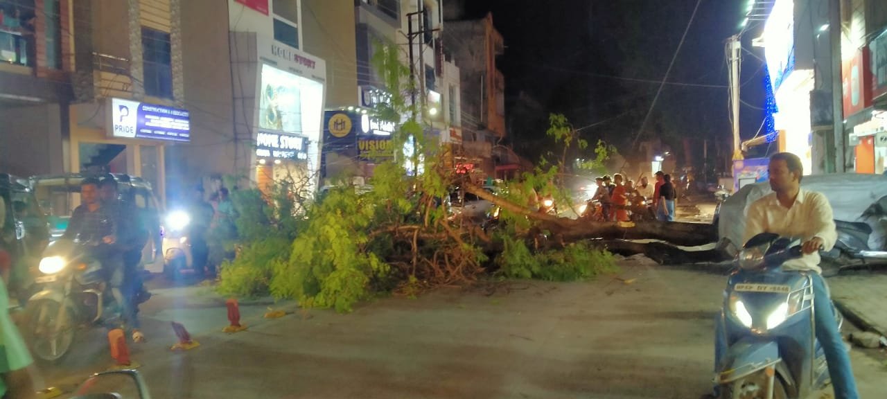 रतलाम: न्यू रोड क्षेत्र में अचानक पेड़ हुआ धराशाई, मार्ग बाधित, कोई हताहत नहीं रतलाम: न्यू रोड क्षेत्र में अचानक पेड़ हुआ धराशाई, मार्ग बाधित, कोई हताहत नहीं