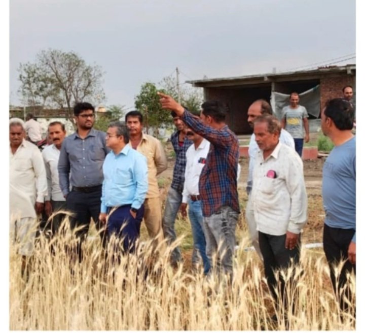 रतलाम: फसल नुकसानी सर्वे के लिए विधायक दिलीप मकवाना के निर्देश पर प्रशासनिक अमला पहुंचा खेतों में रतलाम: फसल नुकसानी सर्वे के लिए विधायक दिलीप मकवाना के निर्देश पर प्रशासनिक अमला पहुंचा खेतों में